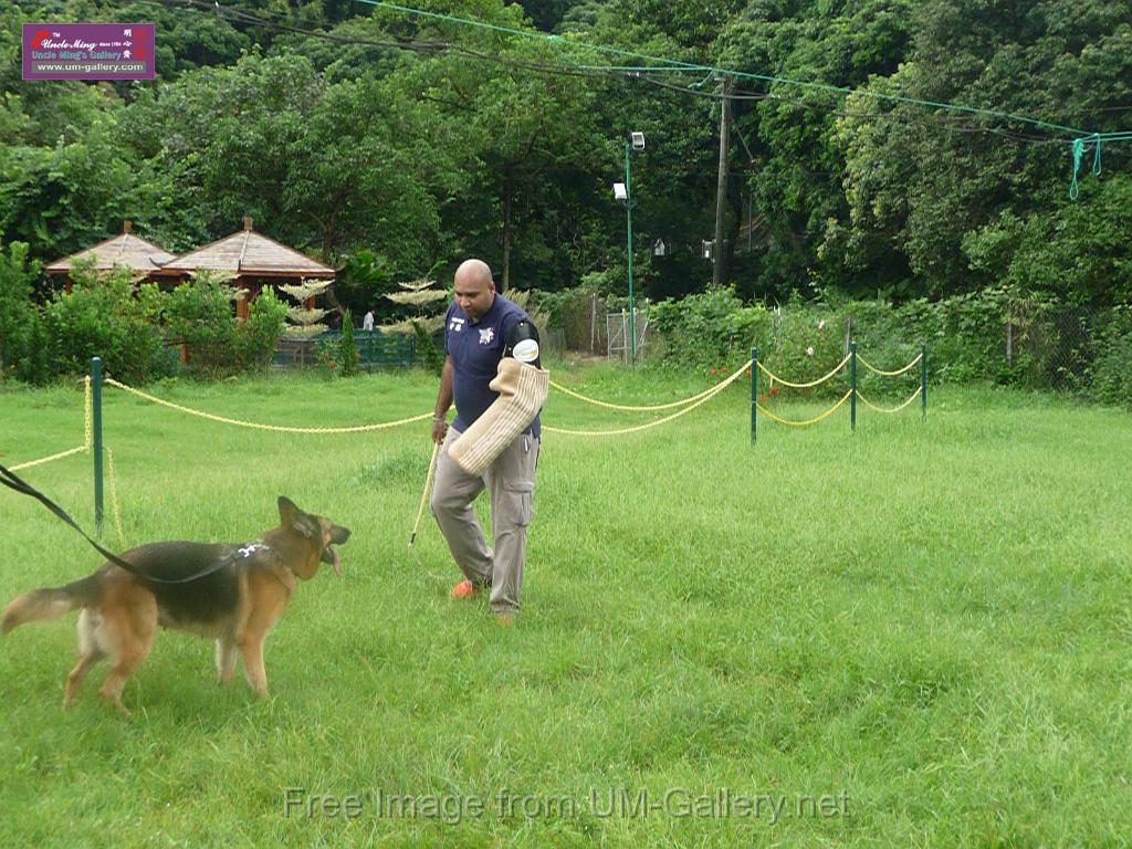 20130818jw_dog_training_P1140208.JPG