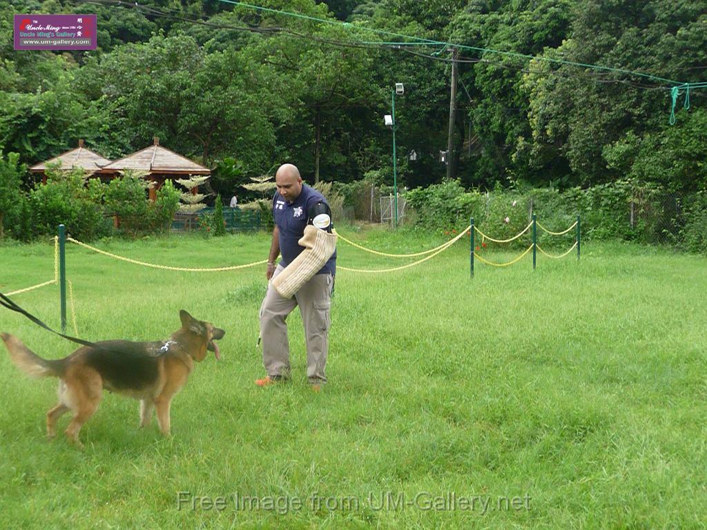 20130818jw_dog_training_P1140209.JPG