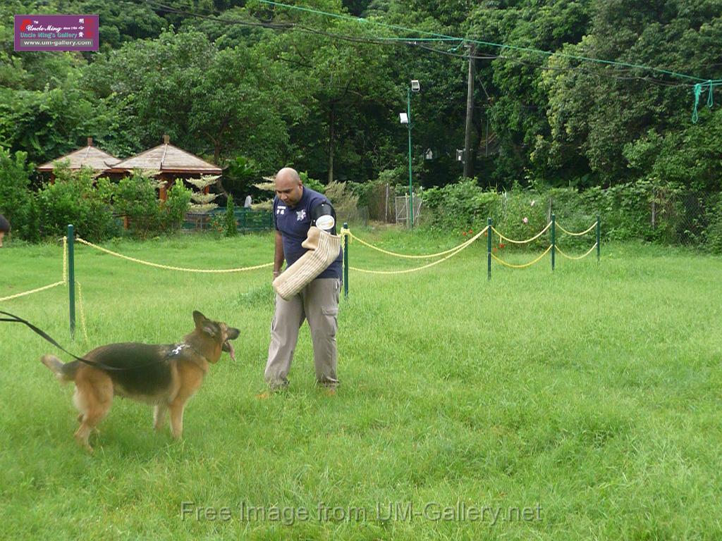 20130818jw_dog_training_P1140210.JPG