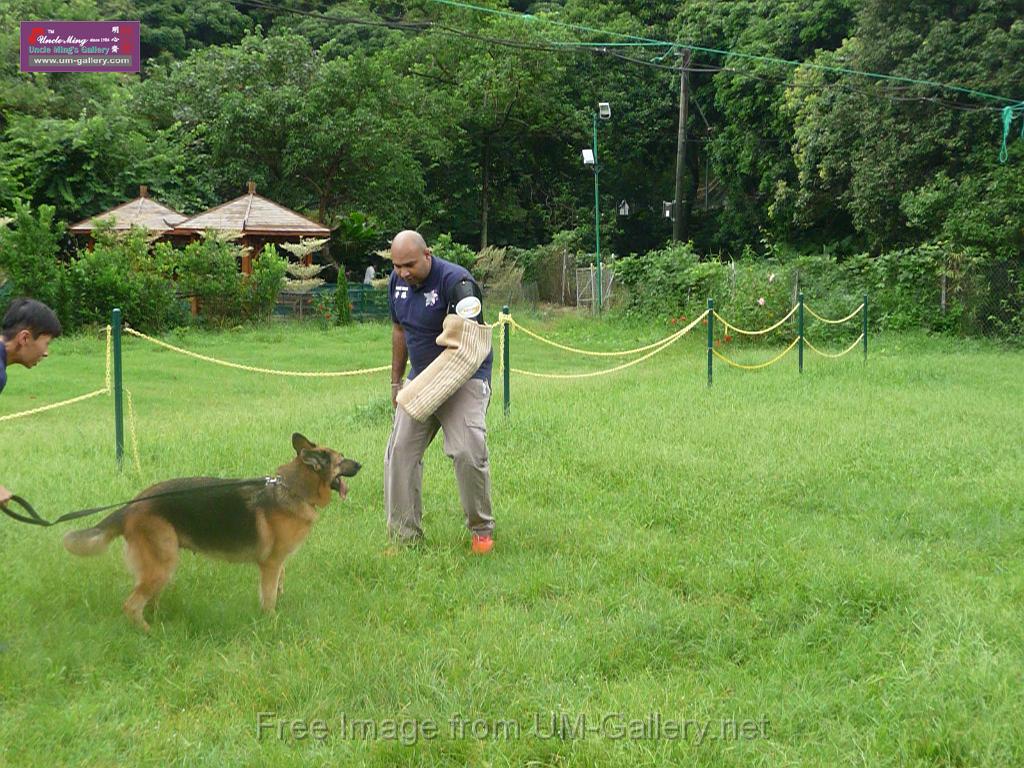 20130818jw_dog_training_P1140211.JPG