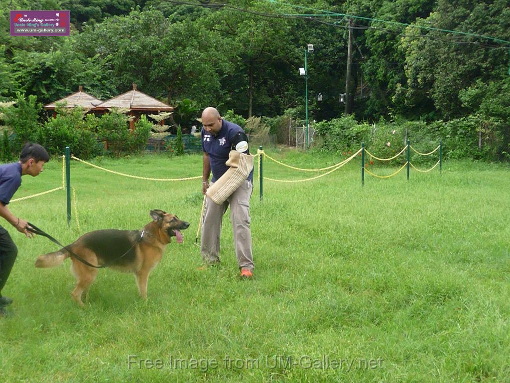 20130818jw_dog_training_P1140212.JPG