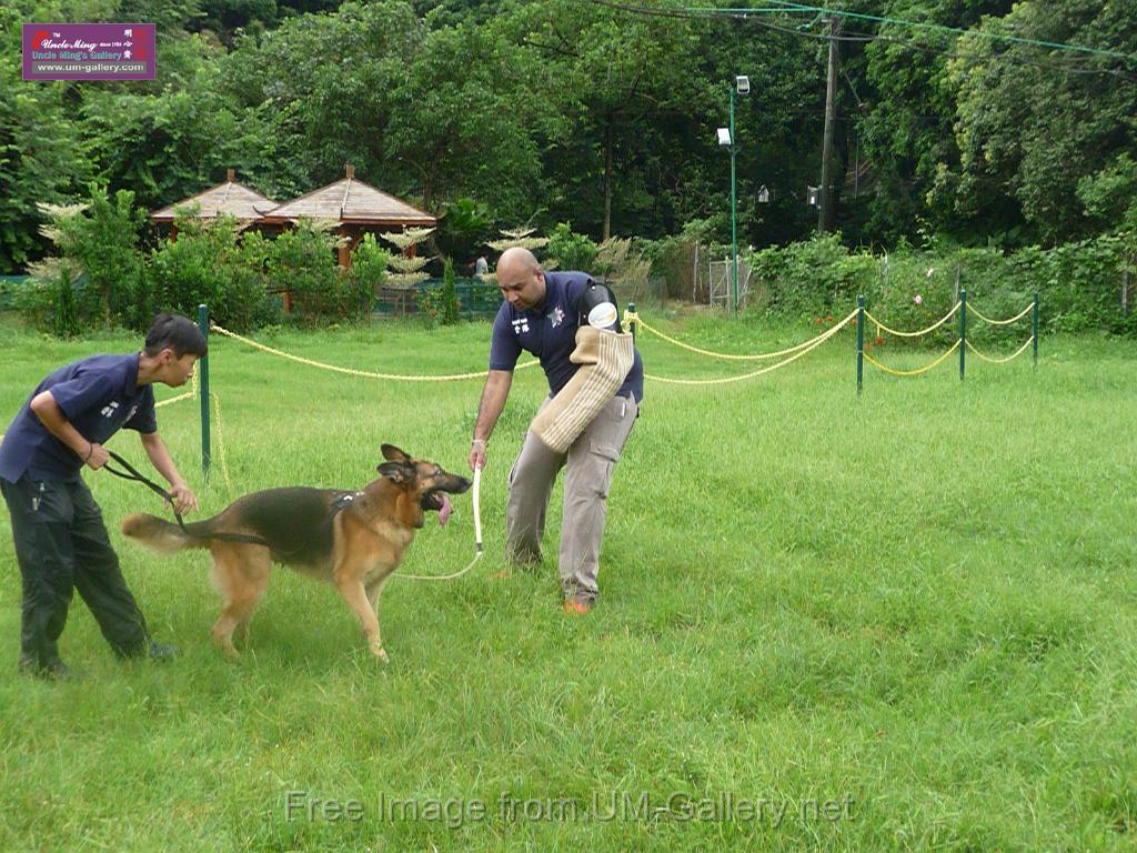 20130818jw_dog_training_P1140214.JPG