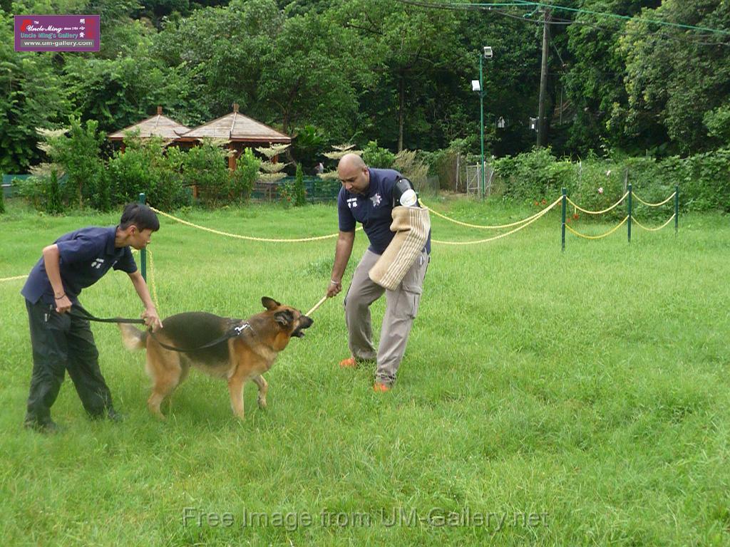 20130818jw_dog_training_P1140215.JPG