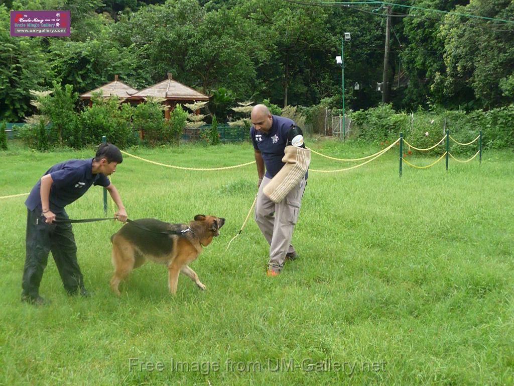 20130818jw_dog_training_P1140216.JPG