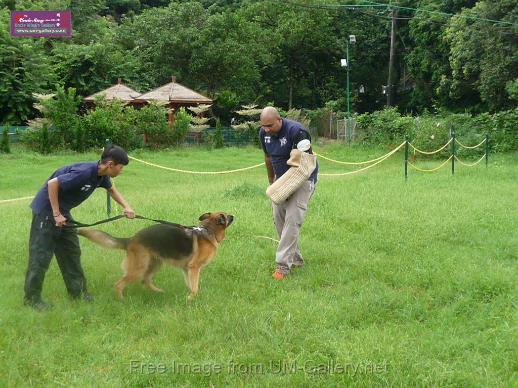 20130818jw_dog_training_P1140217.JPG