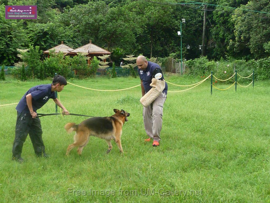 20130818jw_dog_training_P1140218.JPG