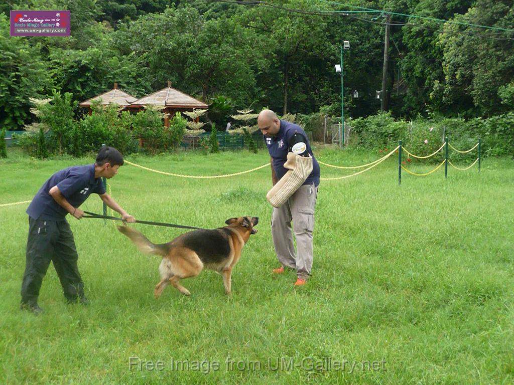 20130818jw_dog_training_P1140219.JPG