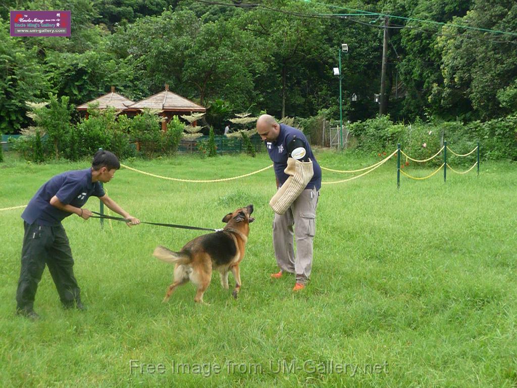 20130818jw_dog_training_P1140220.JPG