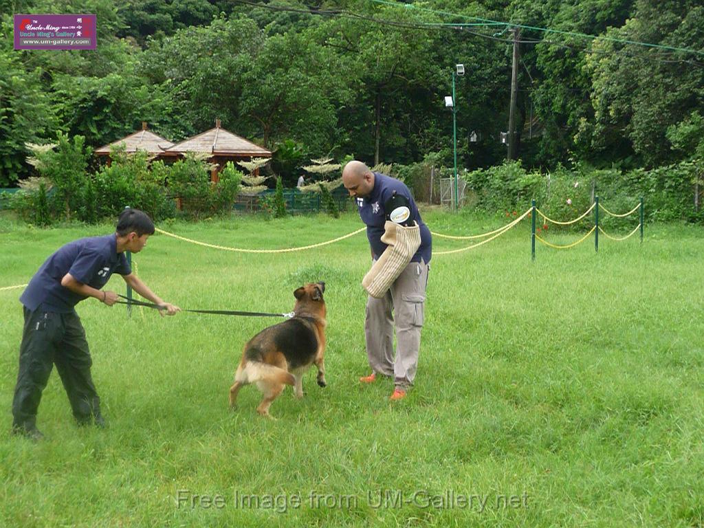 20130818jw_dog_training_P1140221.JPG