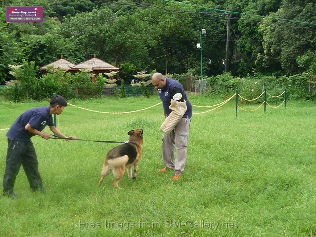 20130818jw_dog_training_P1140222.JPG