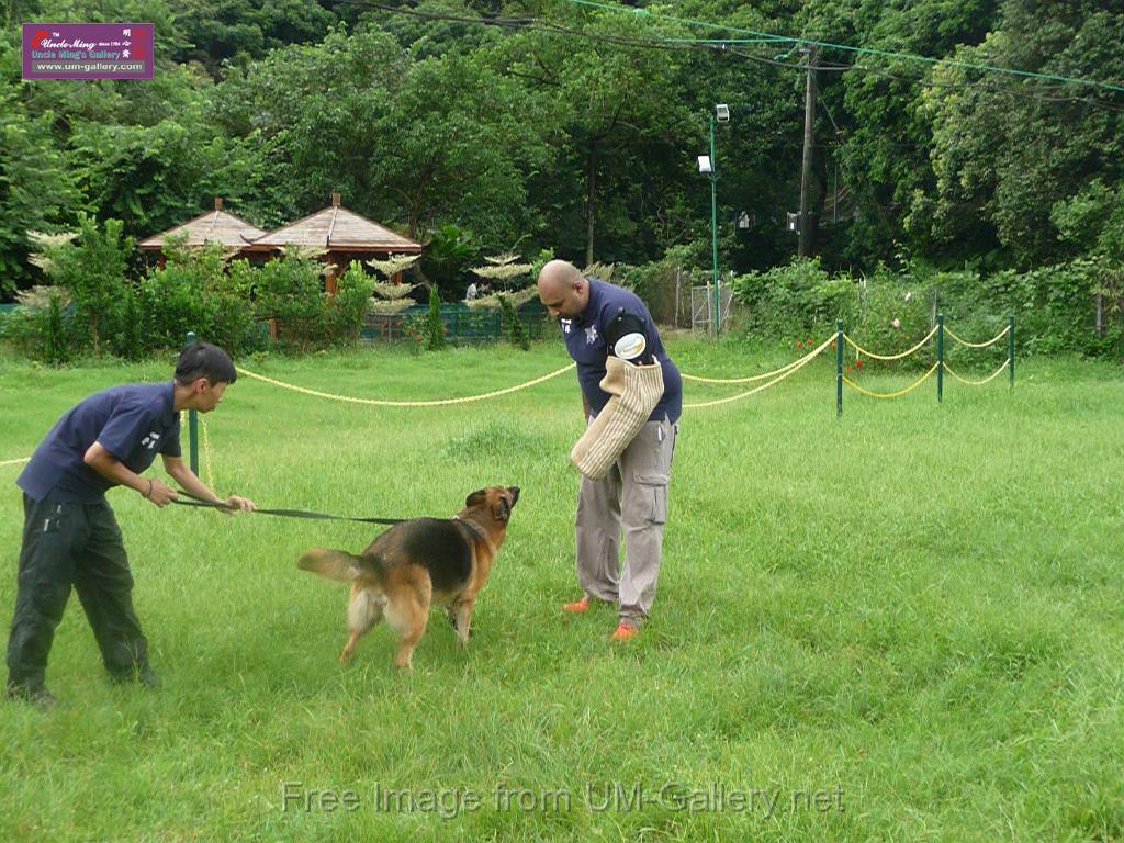 20130818jw_dog_training_P1140223.JPG