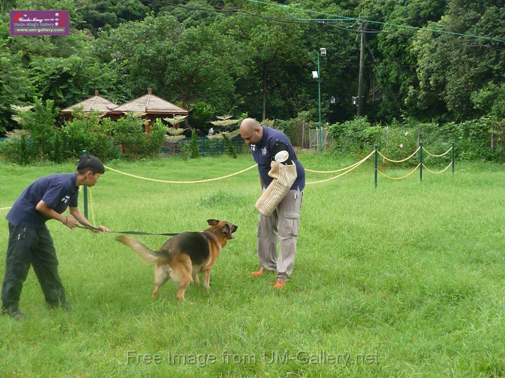 20130818jw_dog_training_P1140224.JPG