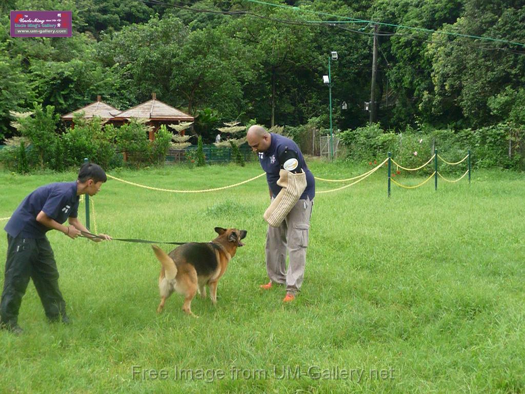 20130818jw_dog_training_P1140225.JPG