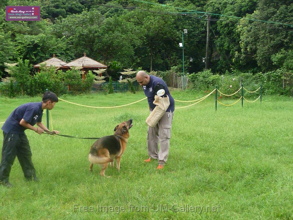 20130818jw_dog_training_P1140226.JPG