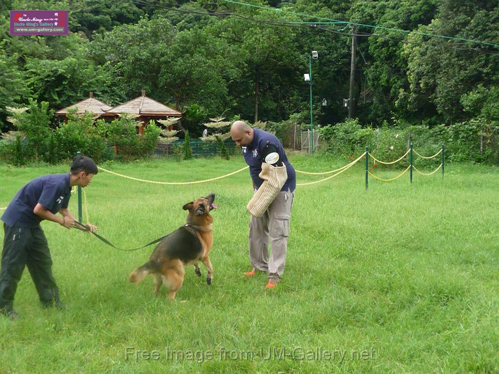 20130818jw_dog_training_P1140227.JPG