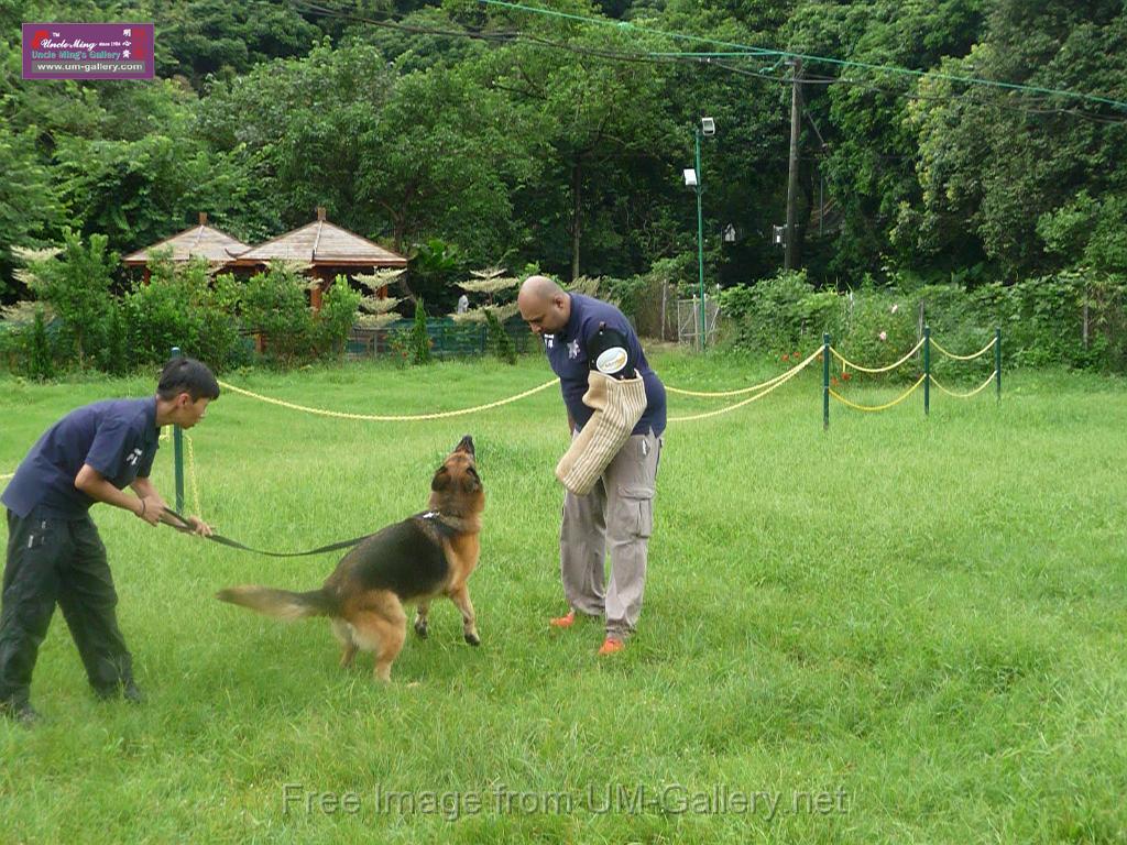 20130818jw_dog_training_P1140228.JPG