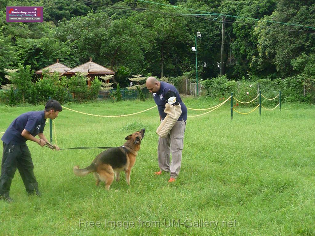 20130818jw_dog_training_P1140229.JPG