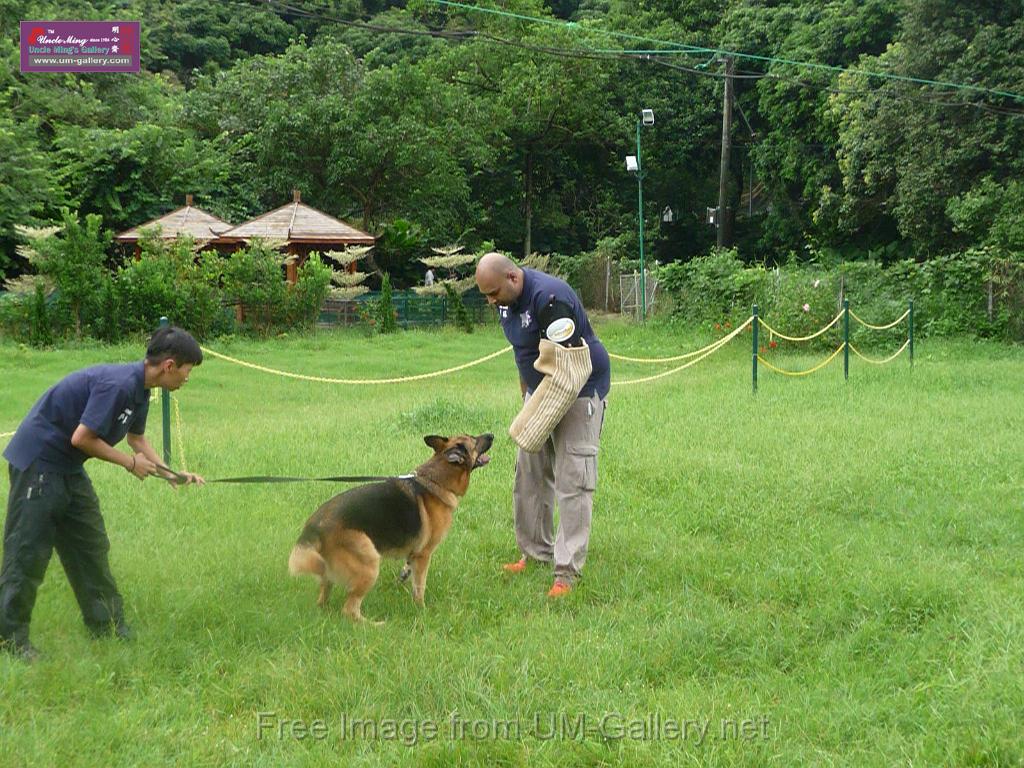 20130818jw_dog_training_P1140230.JPG