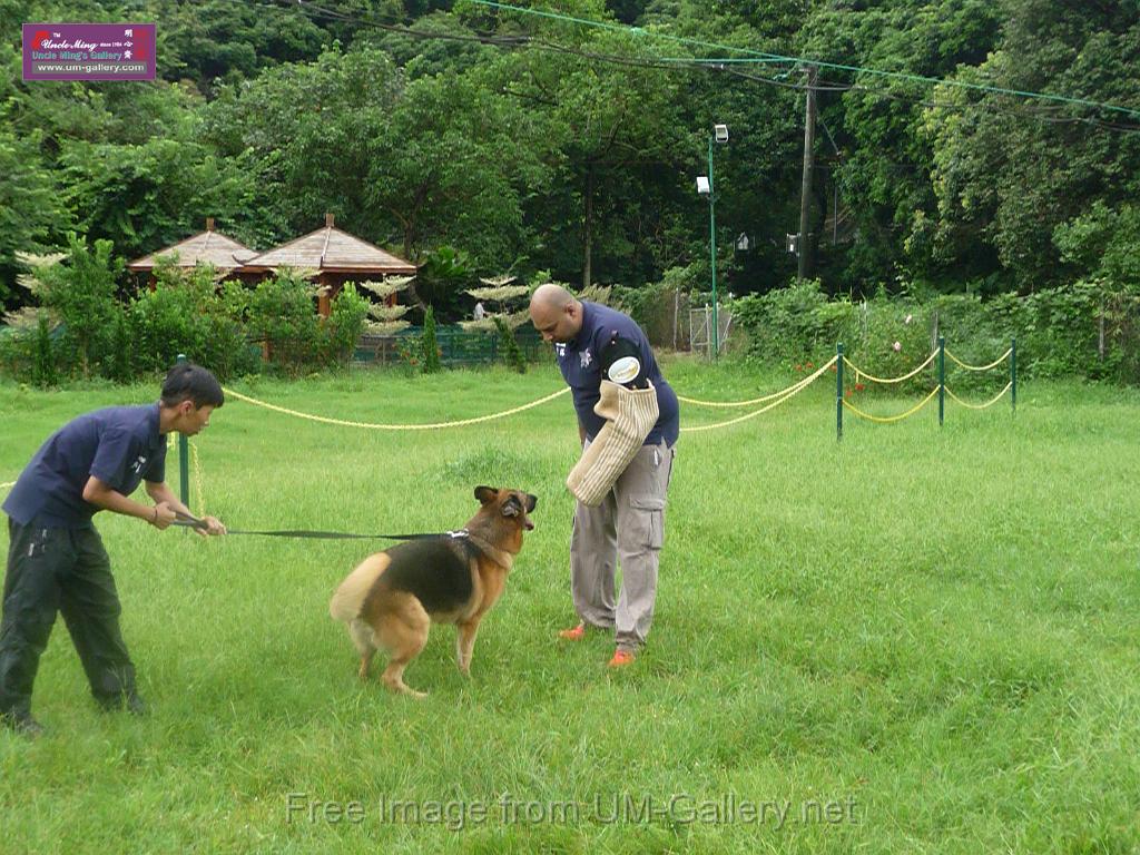 20130818jw_dog_training_P1140231.JPG