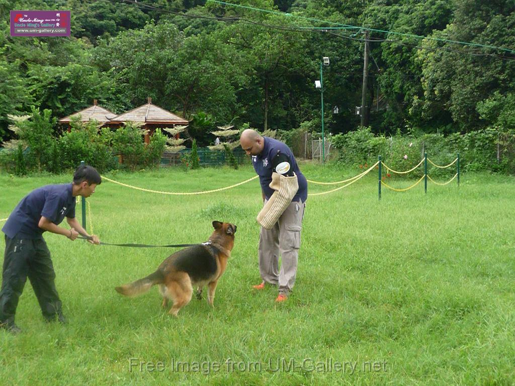 20130818jw_dog_training_P1140232.JPG