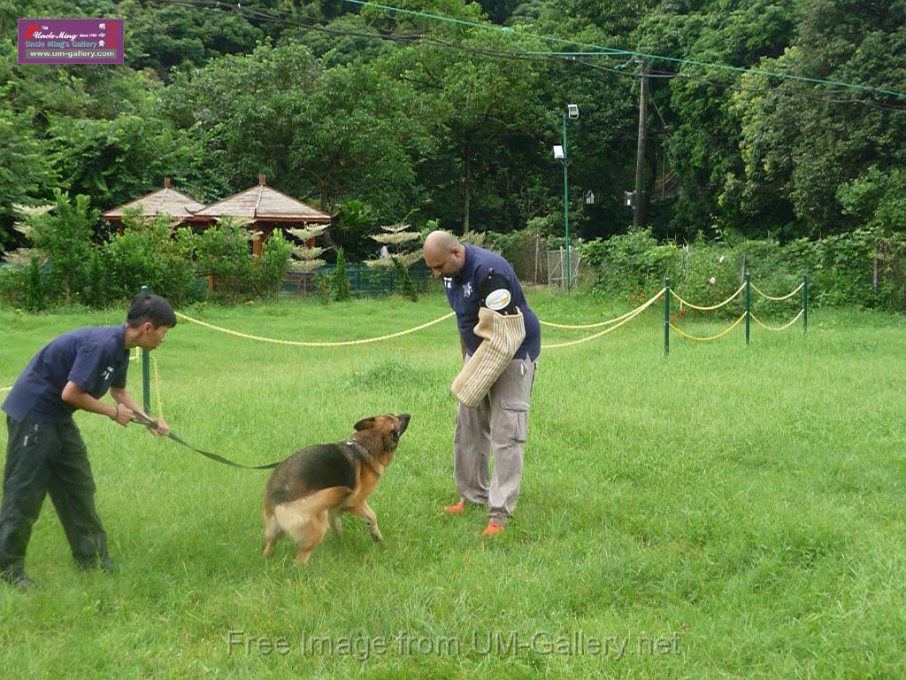 20130818jw_dog_training_P1140234.JPG