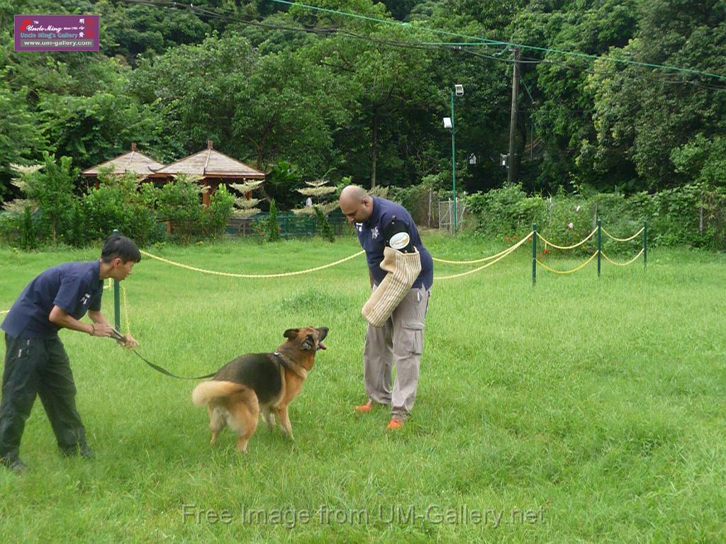 20130818jw_dog_training_P1140235.JPG