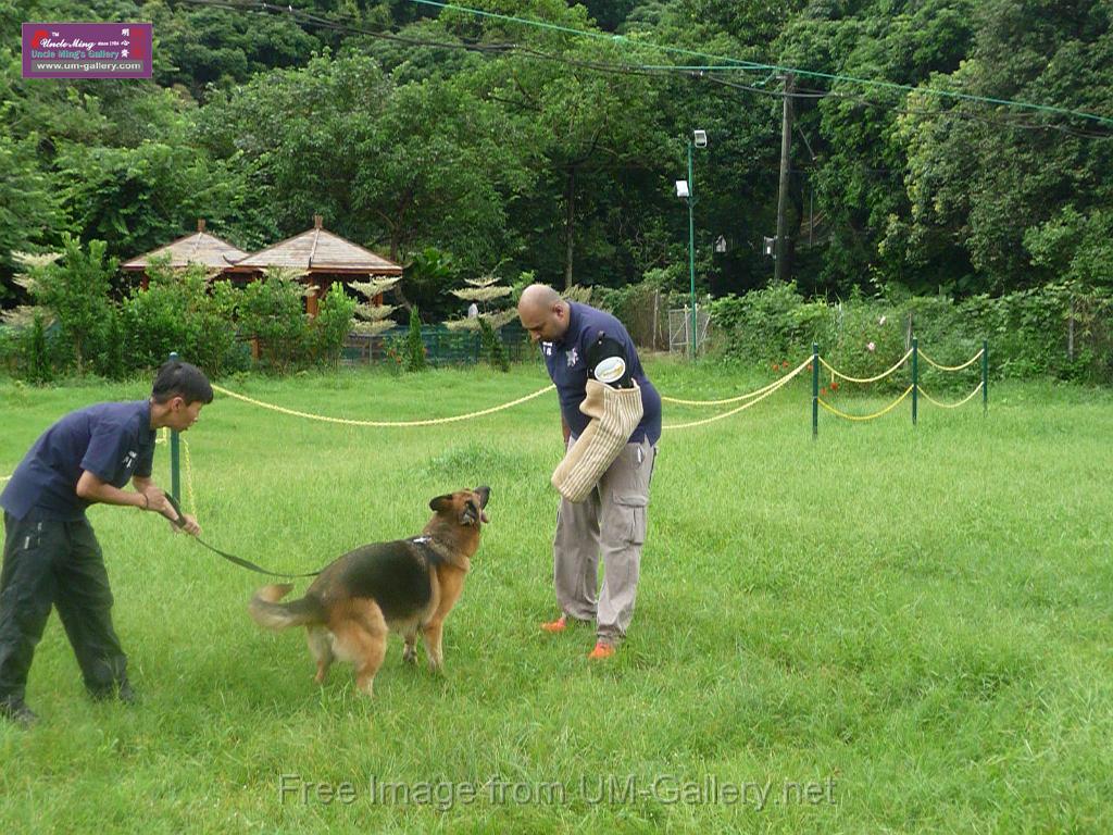 20130818jw_dog_training_P1140237.JPG