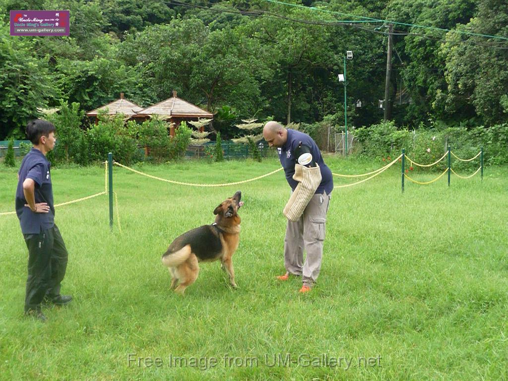 20130818jw_dog_training_P1140238.JPG