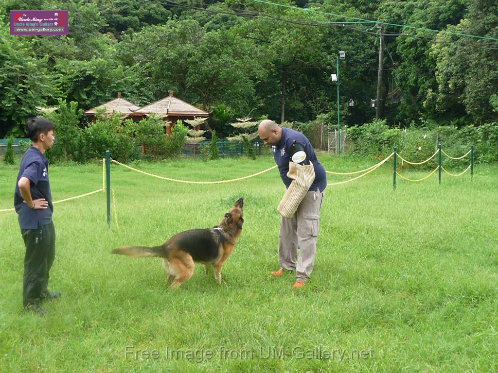 20130818jw_dog_training_P1140239.JPG