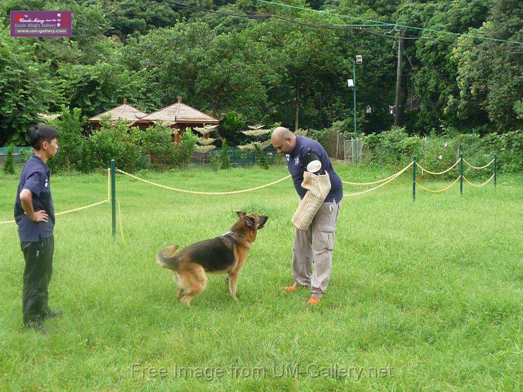 20130818jw_dog_training_P1140240.JPG