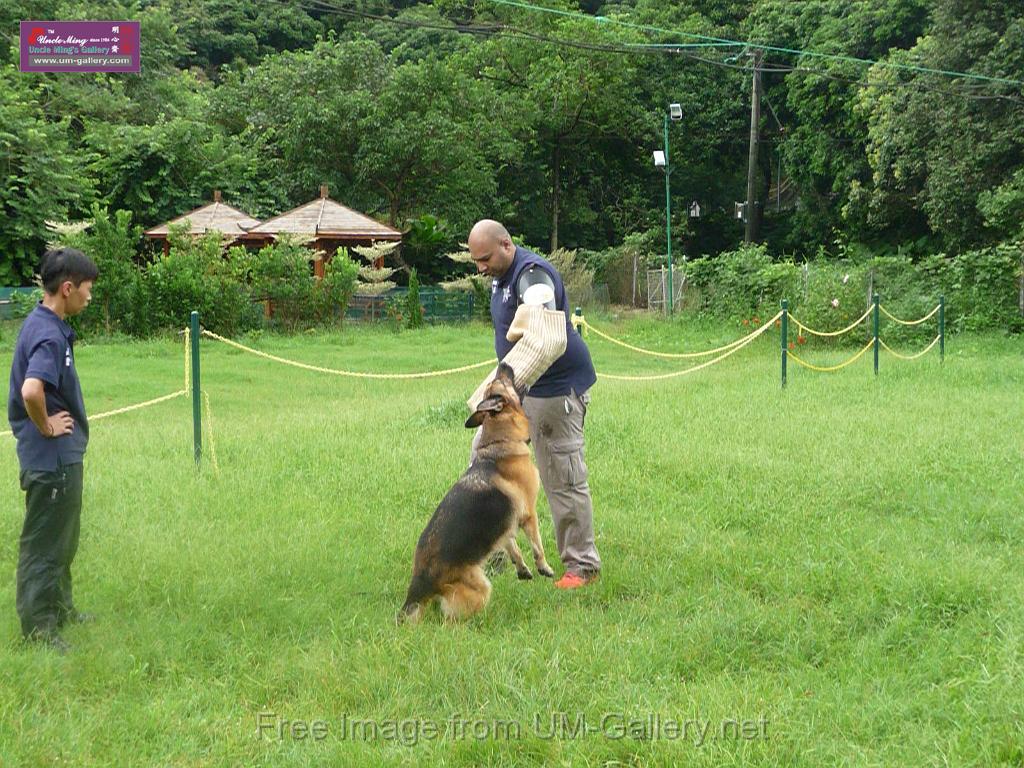 20130818jw_dog_training_P1140241.JPG