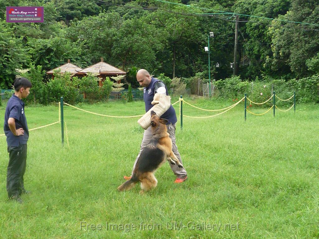 20130818jw_dog_training_P1140242.JPG