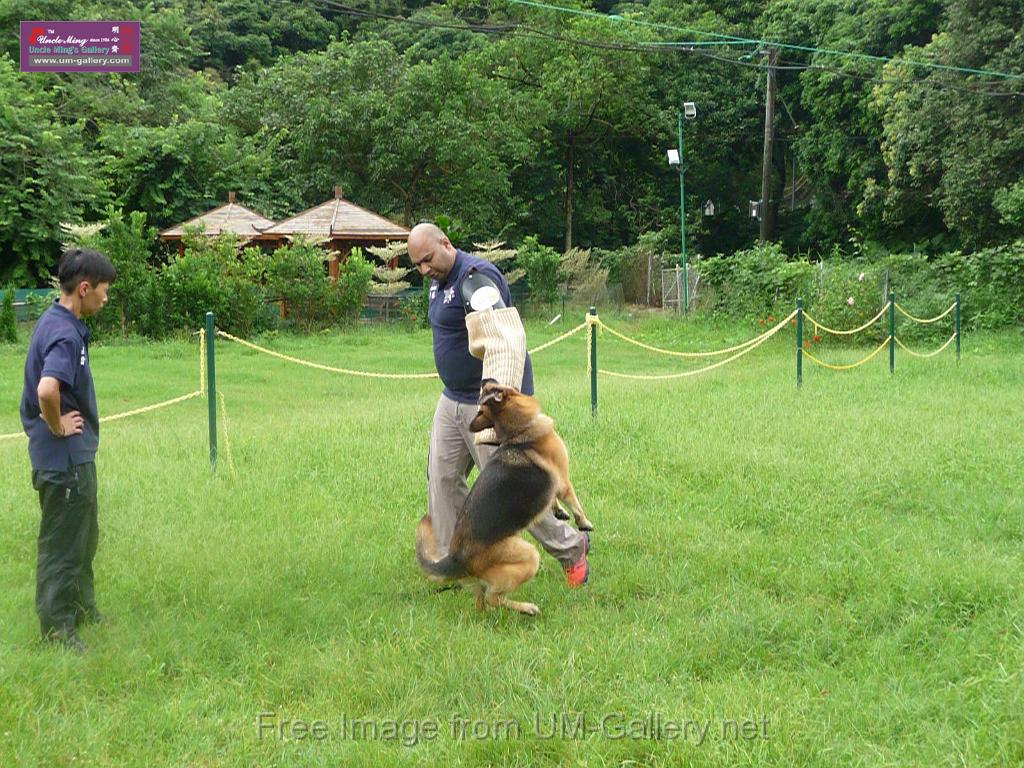 20130818jw_dog_training_P1140243.JPG