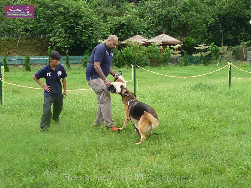 20130818jw_dog_training_P1140244.JPG