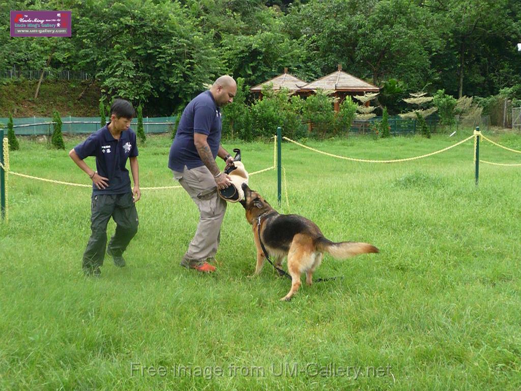 20130818jw_dog_training_P1140245.JPG