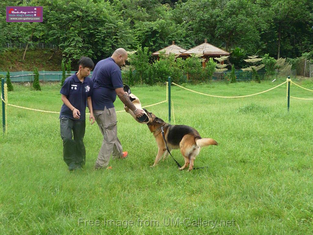 20130818jw_dog_training_P1140247.JPG