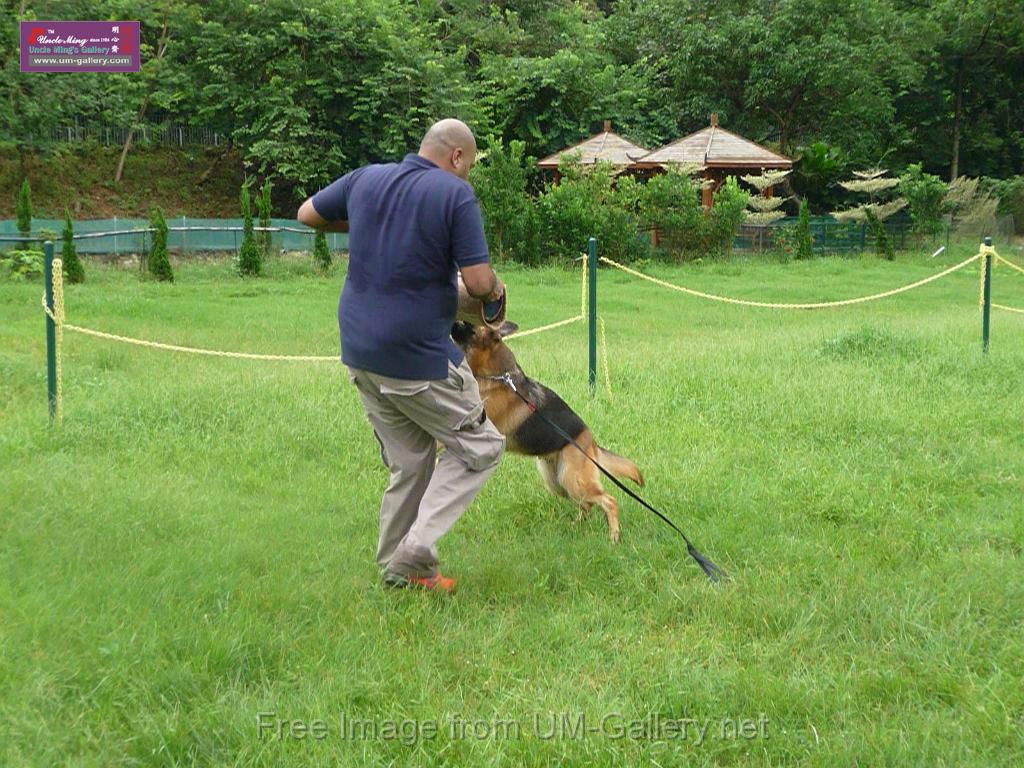 20130818jw_dog_training_P1140249.JPG