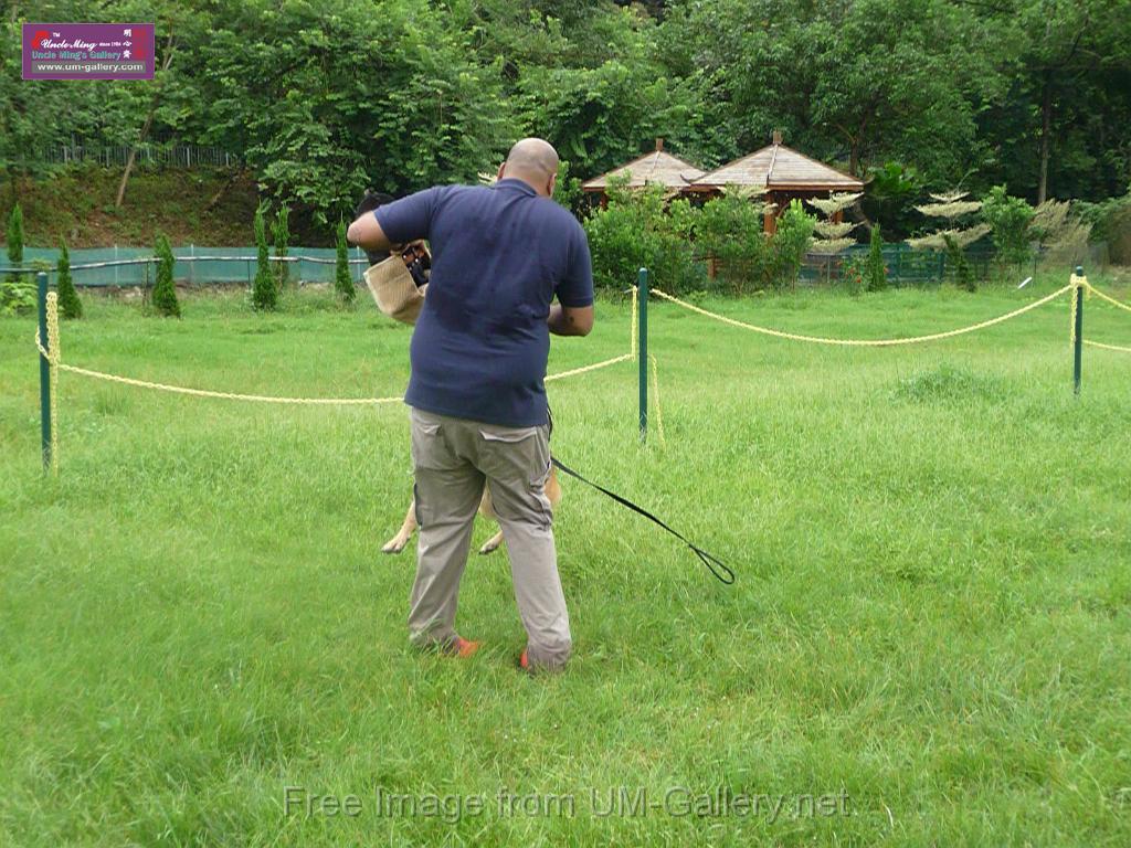 20130818jw_dog_training_P1140250.JPG