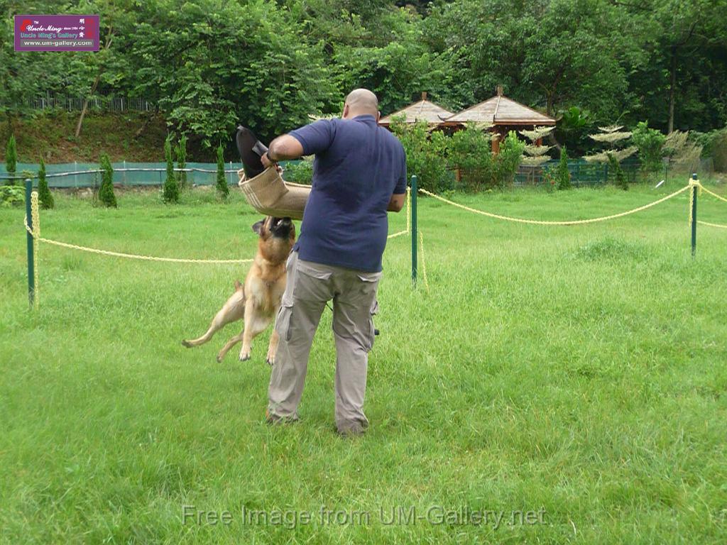 20130818jw_dog_training_P1140251.JPG