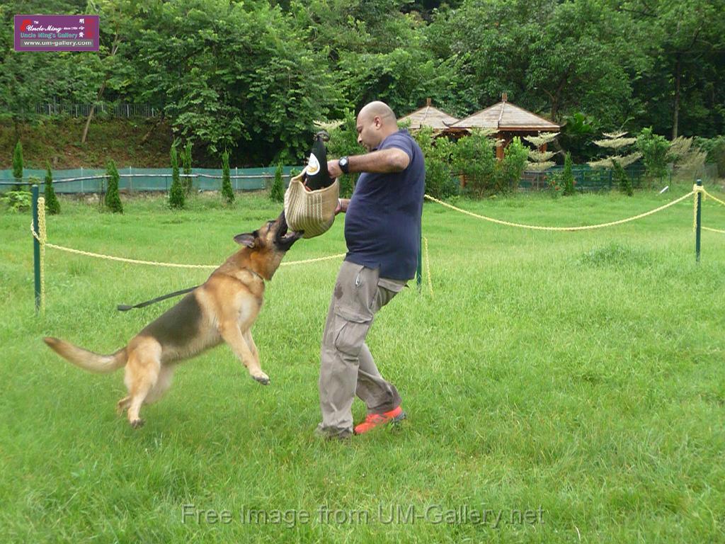 20130818jw_dog_training_P1140253.JPG