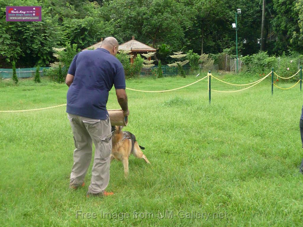 20130818jw_dog_training_P1140261.JPG