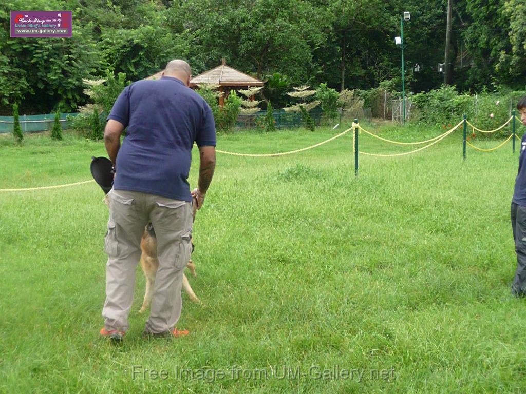 20130818jw_dog_training_P1140262.JPG