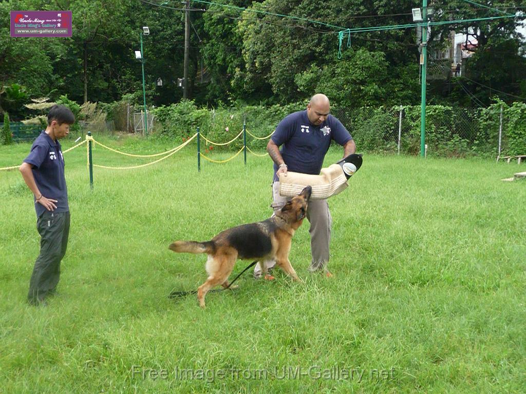 20130818jw_dog_training_P1140264.JPG