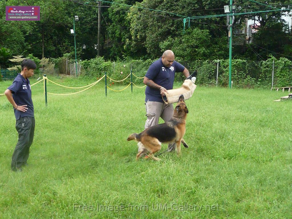 20130818jw_dog_training_P1140265.JPG