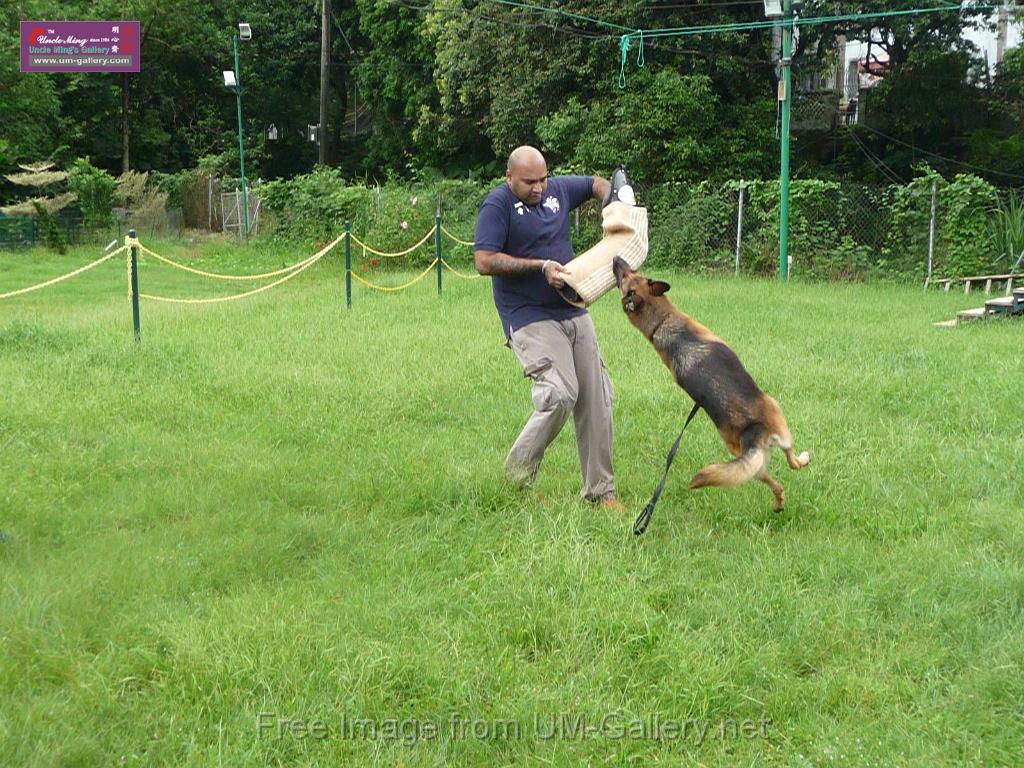 20130818jw_dog_training_P1140268.JPG