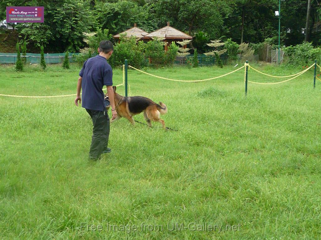 20130818jw_dog_training_P1140269.JPG