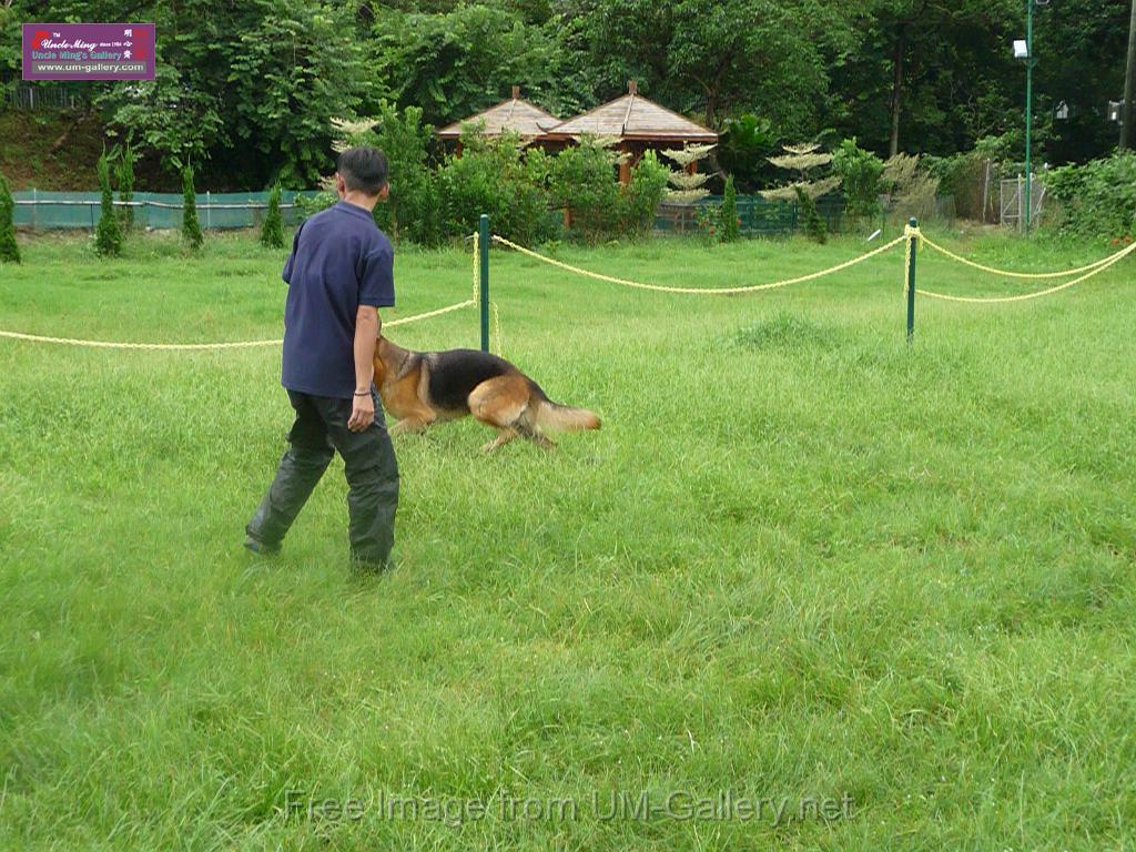 20130818jw_dog_training_P1140270.JPG