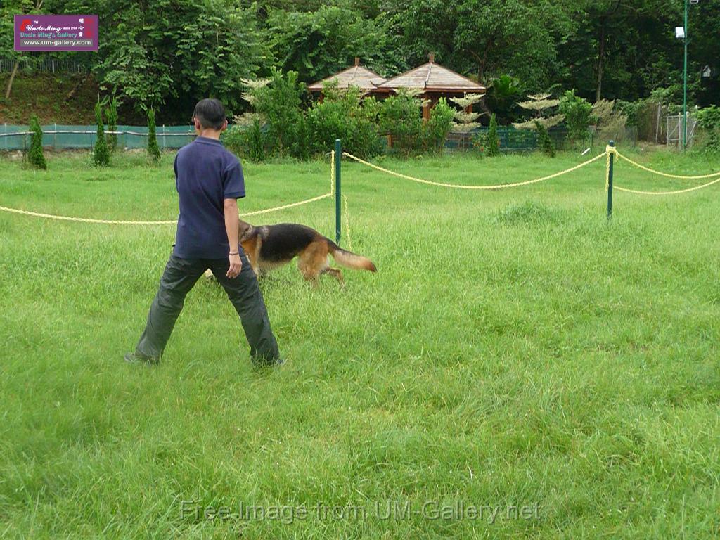 20130818jw_dog_training_P1140271.JPG