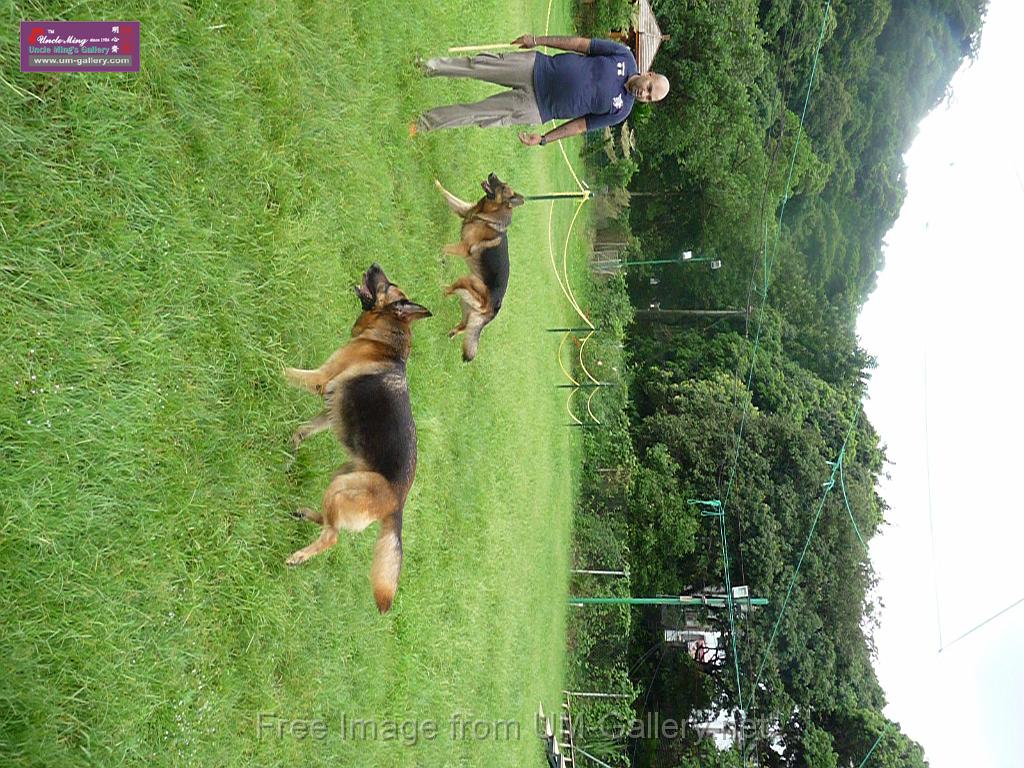 20130818jw_dog_training_P1140272.JPG