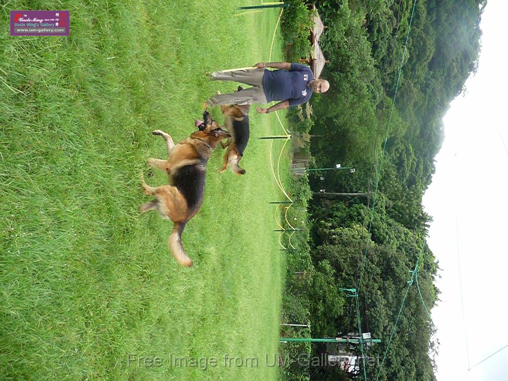 20130818jw_dog_training_P1140273.JPG